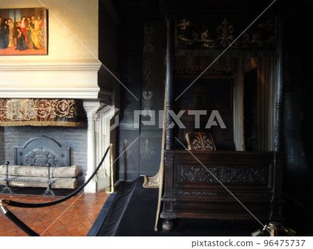 Chenonceau Castle 96475737