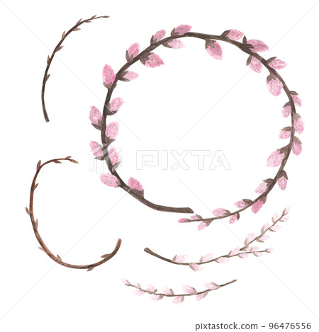 Set pussy willow branch watercolor isolated on white. Hand drawn illustration. Art for design card of flowering, spring Set pussy willow branch watercolor isolated on white. Hand drawn illustration. Art for design card of flowering, spring 96476556
