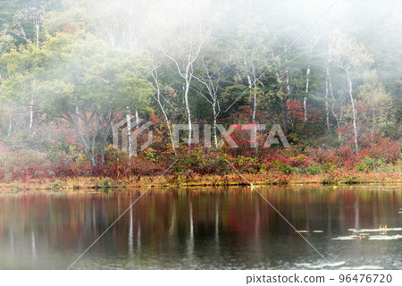 Ichinuma, Shiga Kogen in autumn with fog Ichinuma, Shiga Kogen in autumn with fog 96476720