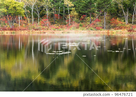 Ichinuma, Shiga Kogen in autumn with fog Ichinuma, Shiga Kogen in autumn with fog 96476721