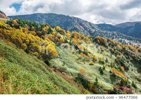 《長野縣》秋天的志賀高原 Shibutoge 的紅葉風景 96477066