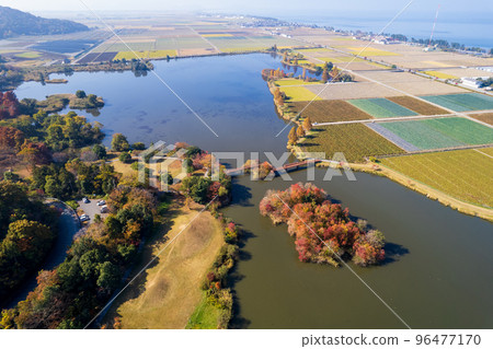 Drone photography｜Sone-numa lakeside green area where autumn leaves are beautiful and you can camp｜Hikone City, Shiga Prefecture 96477170