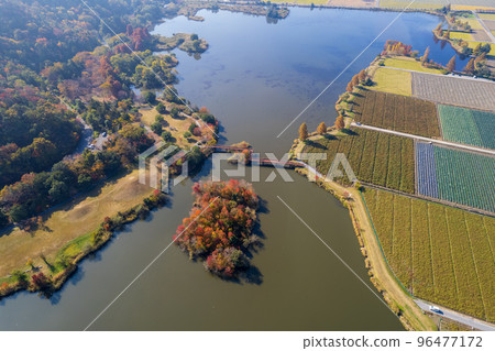Drone photography｜Sone-numa lakeside green area where autumn leaves are beautiful and you can camp｜Hikone City, Shiga Prefecture 96477172