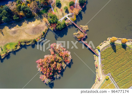 Drone photography｜Sone-numa lakeside green area where autumn leaves are beautiful and you can camp｜Hikone City, Shiga Prefecture 96477174