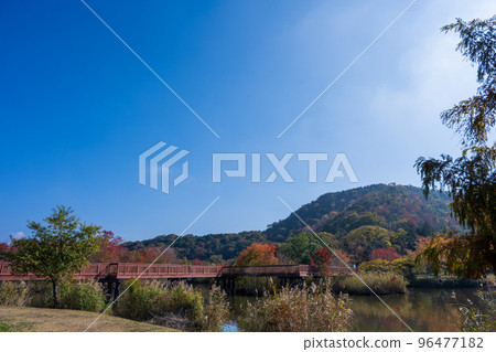 Sone-numa lakeshore green area where autumn leaves are beautiful and you can camp | Hikone City, Shiga Prefecture 96477182