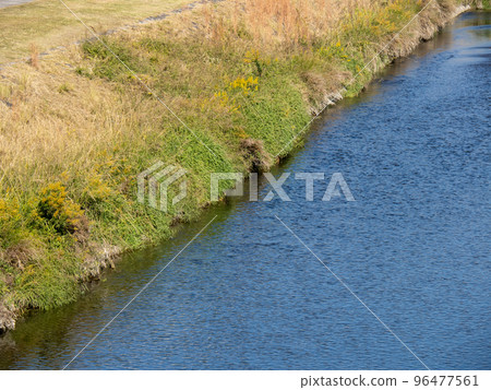 river edge and river surface. Kamogawa (Kyoto city). 96477561