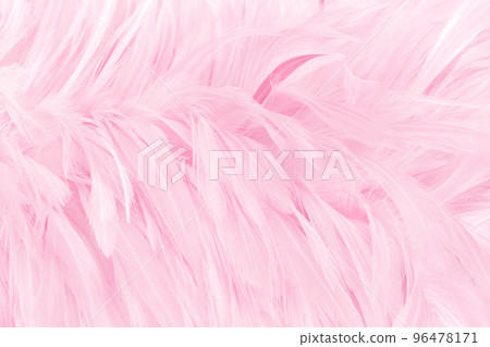 Beautiful light pink bird feathers pattern texture background. 96478171
