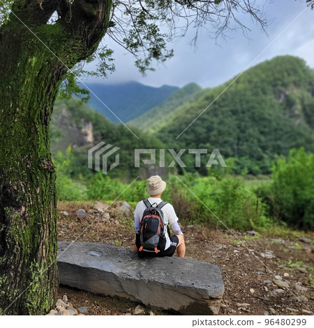 Outdoor, oracle, Person 96480299