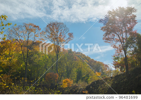 [Old lens style finish] A certain satoyama landscape [Late autumn] 96481699