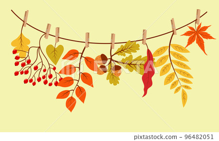 Autumn gifts hanging on the rope attached with clothespin. Vector illustration. 96482051