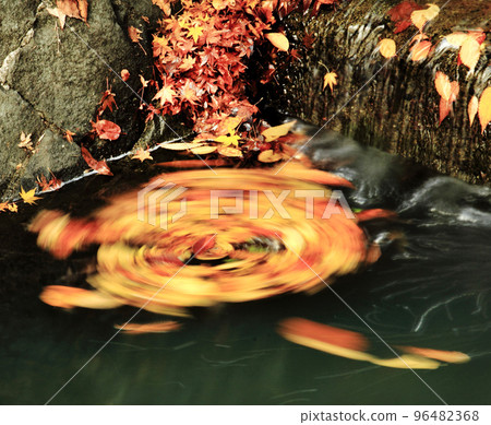 Scenery of autumn leaves 96482368