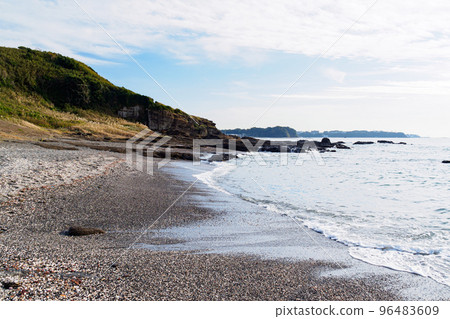 Kurosaki no Hana winter on the Miura Peninsula 96483609