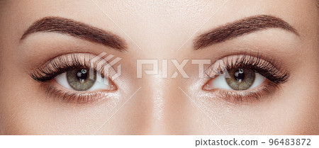 Beautiful female eyes with long eyelashes Beautiful female eyes with long eyelashes 96483872