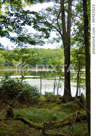 Shiretoko Five Lakes scenery (Lake 3) 96483929