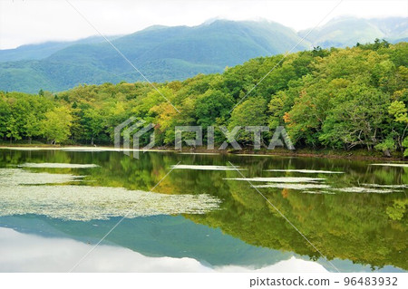Scenery of Shiretoko Five Lakes (Lake 4) 96483932