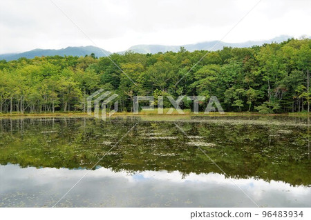 Scenery of Shiretoko Five Lakes (Lake No. 5) 96483934