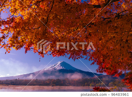 Fuji and autumn leaves 96483961
