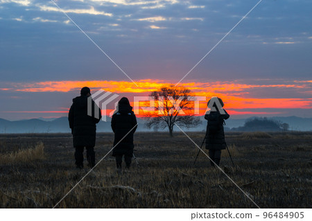 Earth sunrise Earth sunrise 96484905