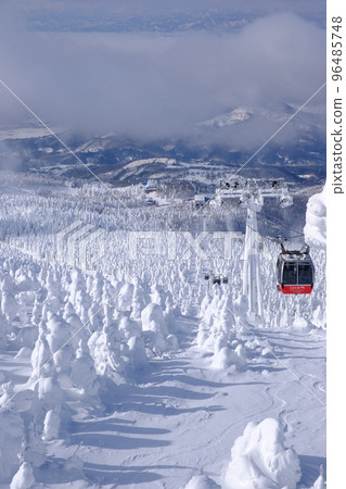 Zao Ski Resort of frost-covered trees Zao Ski Resort of frost-covered trees 96485748