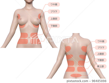 想要減肥的女性的治療區域自然 3D 模型上半身正面和背面視圖插圖集 96485898
