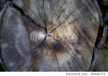 木紋，木橫截面 96486378