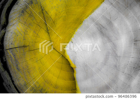 wood pattern, wood cross section wood pattern, wood cross section 96486396
