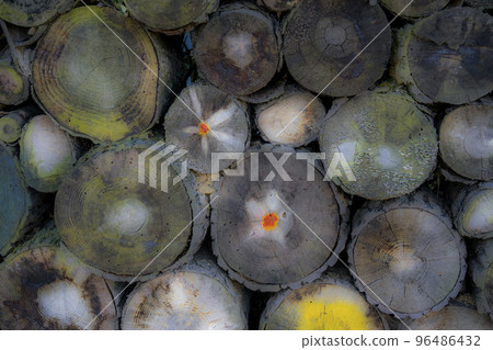 wood pattern, wood cross section wood pattern, wood cross section 96486432