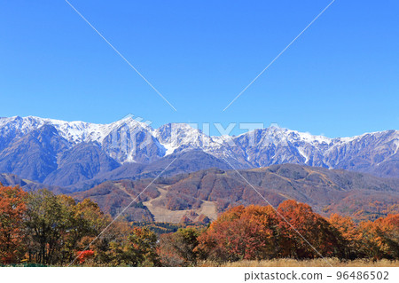 深秋的白馬,從野平看到的白馬三山 深秋的白馬,從野平看到的白馬三山 96486502