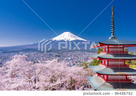 “山梨縣”富士山、五層寶塔和盛開的櫻花、春天的新倉山淺間公園 96486782