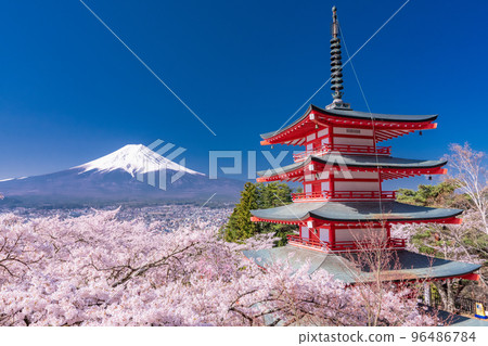 “山梨縣”富士山、五層寶塔和盛開的櫻花、春天的新倉山淺間公園 “山梨縣”富士山、五層寶塔和盛開的櫻花、春天的新倉山淺間公園 96486784