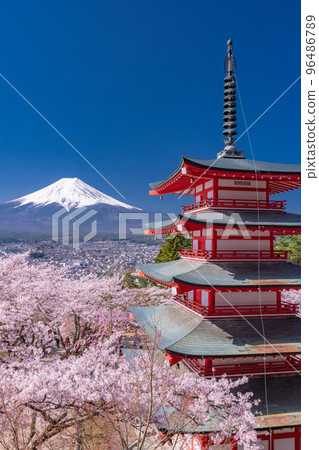 “山梨縣”富士山、五層寶塔和盛開的櫻花、春天的新倉山淺間公園 96486789