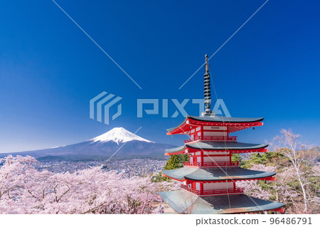 “山梨縣”富士山、五層寶塔和盛開的櫻花、春天的新倉山淺間公園 “山梨縣”富士山、五層寶塔和盛開的櫻花、春天的新倉山淺間公園 96486791