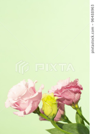 鮮花和復制空間 鮮花和復制空間 96488963
