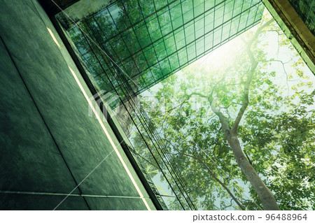 Sustainble green building. Eco-friendly building in modern city. Sustainable glass office building with tree for reducing carbon dioxide. Office with green environment. Corporate building reduce CO2. 96488964