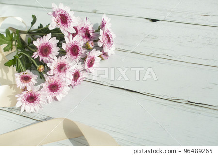 Chrysanthemum and copy space Chrysanthemum and copy space 96489265