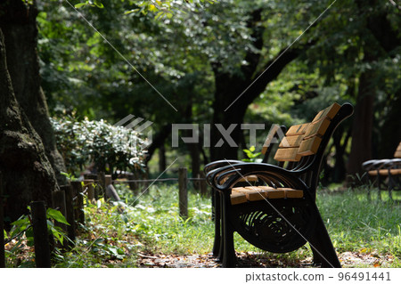  Bench in the forest 96491441