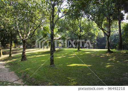 Green Field with trees in the park landscape view Green Field with trees in the park landscape view 96492218