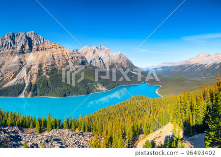 Banff National Park, Alberta, Canada. A huge panorama of Lake Peyto.  96493402