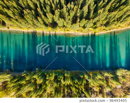 A drone view of the river in the woods. An aerial view of an autumn forest. Canada A drone view of the river in the woods. An aerial view of an autumn forest. Canada 96493405