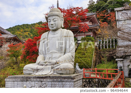 Tsubosaka-ji寺在看紅葉的最佳時間 Tsubosaka-ji寺在看紅葉的最佳時間 96494644
