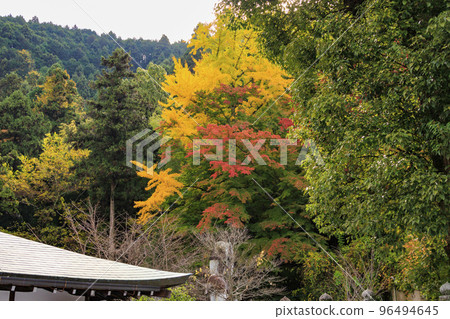 Tsubosaka-ji寺在看紅葉的最佳時間 96494645