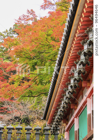 Tsubosaka-ji寺在看紅葉的最佳時間 Tsubosaka-ji寺在看紅葉的最佳時間 96494646