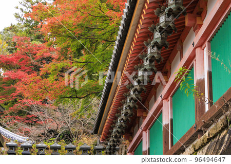 Tsubosaka-ji寺在看紅葉的最佳時間 Tsubosaka-ji寺在看紅葉的最佳時間 96494647