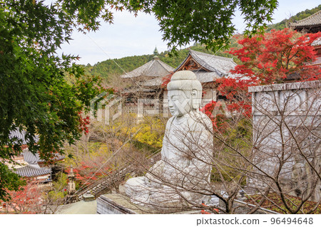 Tsubosaka-ji寺在看紅葉的最佳時間 Tsubosaka-ji寺在看紅葉的最佳時間 96494648