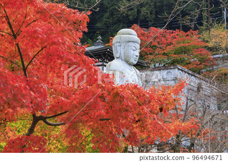 Tsubosaka-ji寺在看紅葉的最佳時間 Tsubosaka-ji寺在看紅葉的最佳時間 96494671
