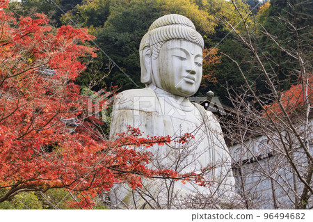 Tsubosaka-ji寺在看紅葉的最佳時間 96494682