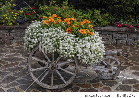 Flowers in a wooden carriage wagon cart Flowers in a wooden carriage wagon cart 96495273