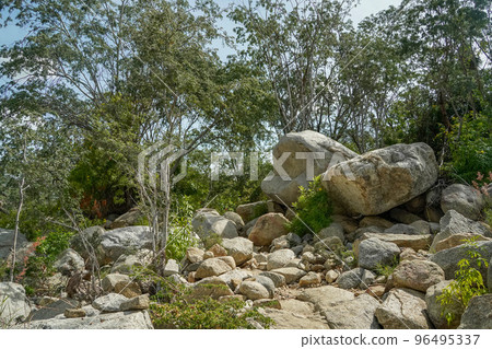 river creek white stones in san dionisio in sierra de la laguna baja california sur mexico river creek white stones in san dionisio in sierra de la laguna baja california sur mexico 96495337