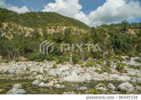 river creek white stones in san dionisio in sierra de la laguna baja california sur mexico river creek white stones in san dionisio in sierra de la laguna baja california sur mexico 96495338