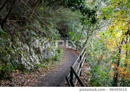 Autumn Chomonkyo Gorge with beautiful autumn foliage and valley [Yamaguchi Prefecture] 96495610